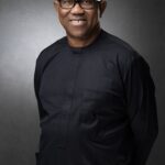 Professional portrait of Peter Gregory Obi, Nigerian politician and businessman