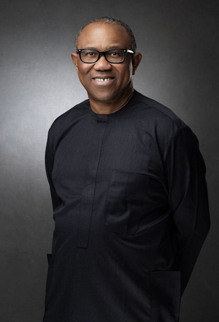 Professional portrait of Peter Gregory Obi, Nigerian politician and businessman