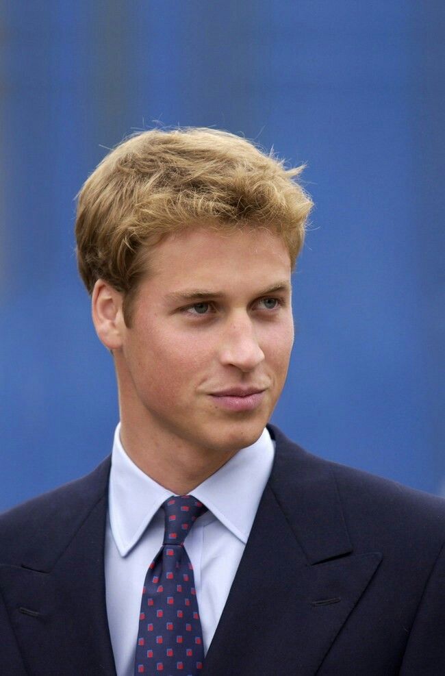 A formal portrait of Prince William, the Prince of Wales, smiling in a tailored dark suit and tie against a neutral background.